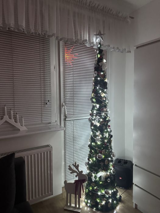 Choinka choinka xhoinka