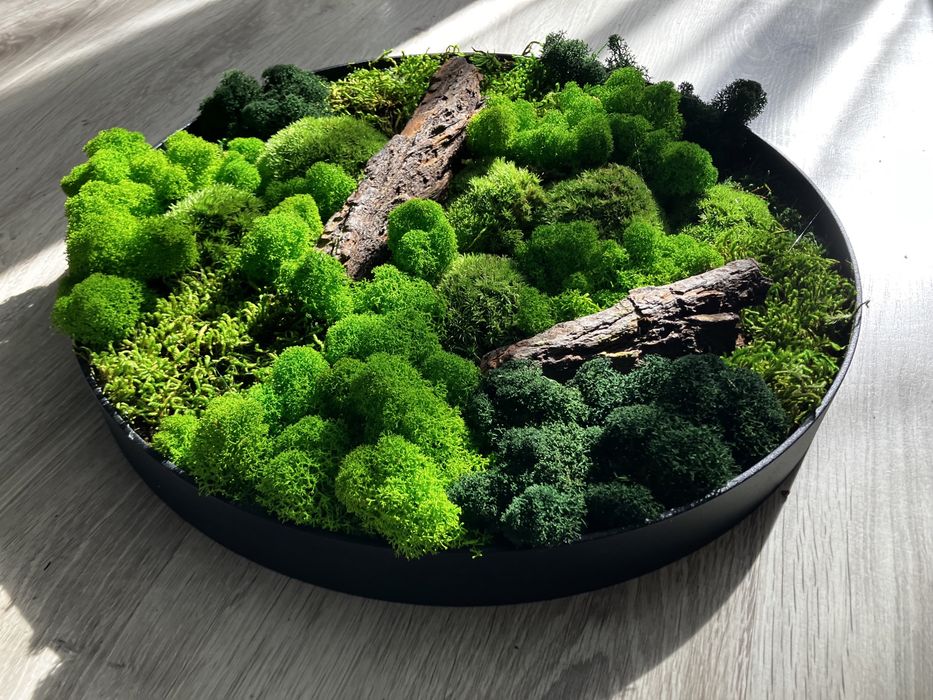 Obraz z mchu koło metal loft żywy mech chrobotek