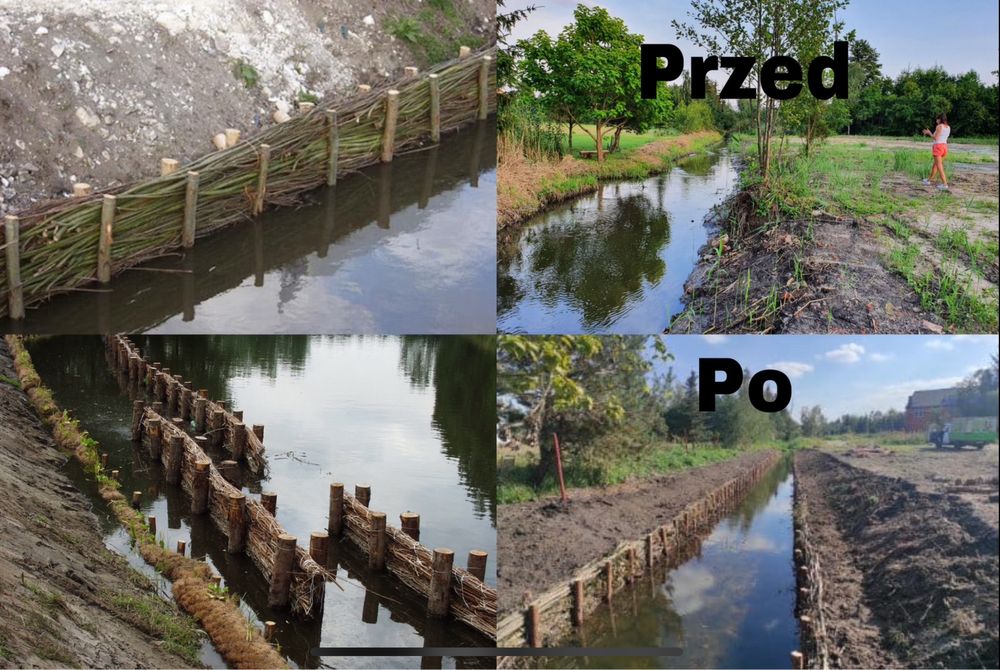 Faszynowanie brzegów stawu kopanie zabespieczanie kiszką faszynową