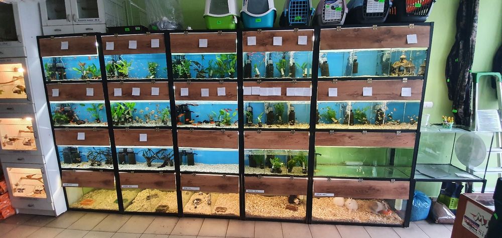 Sprzedam firmę. Sklep zoologiczno- wędkarski.  Wałcz