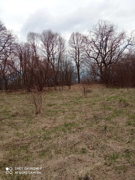 Земельна ділянка у Карпатах