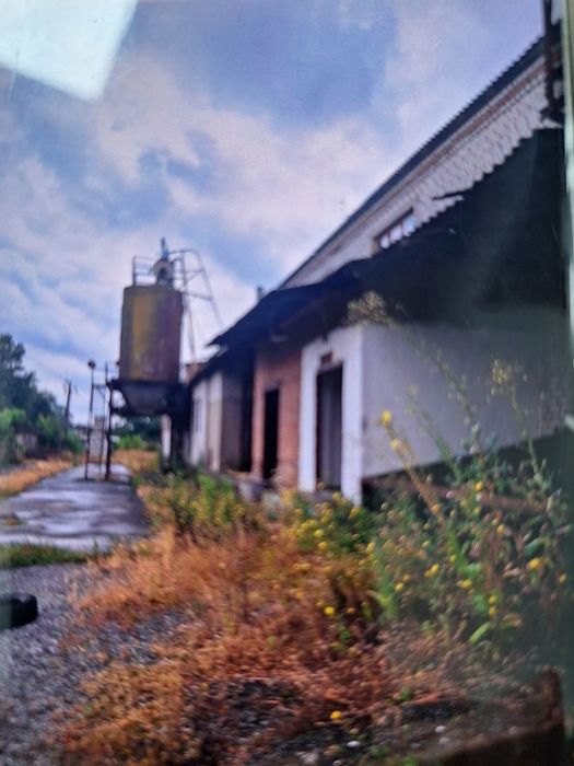 Продаж підприємства (хлібопекарня, млин)