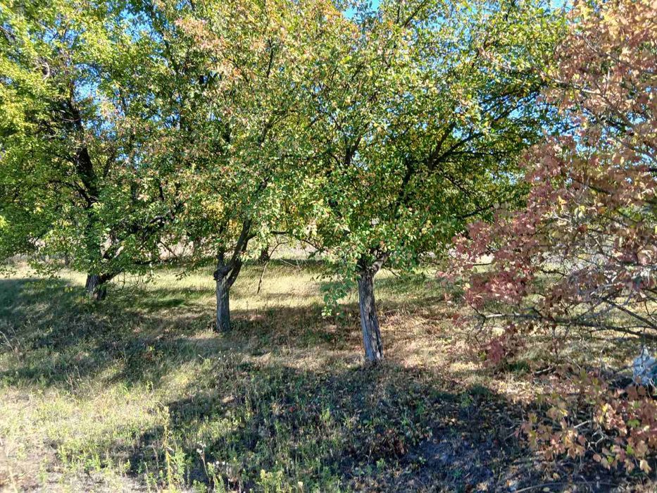 Земельна ділянка 0,012га Царичанка с/т Будівельник