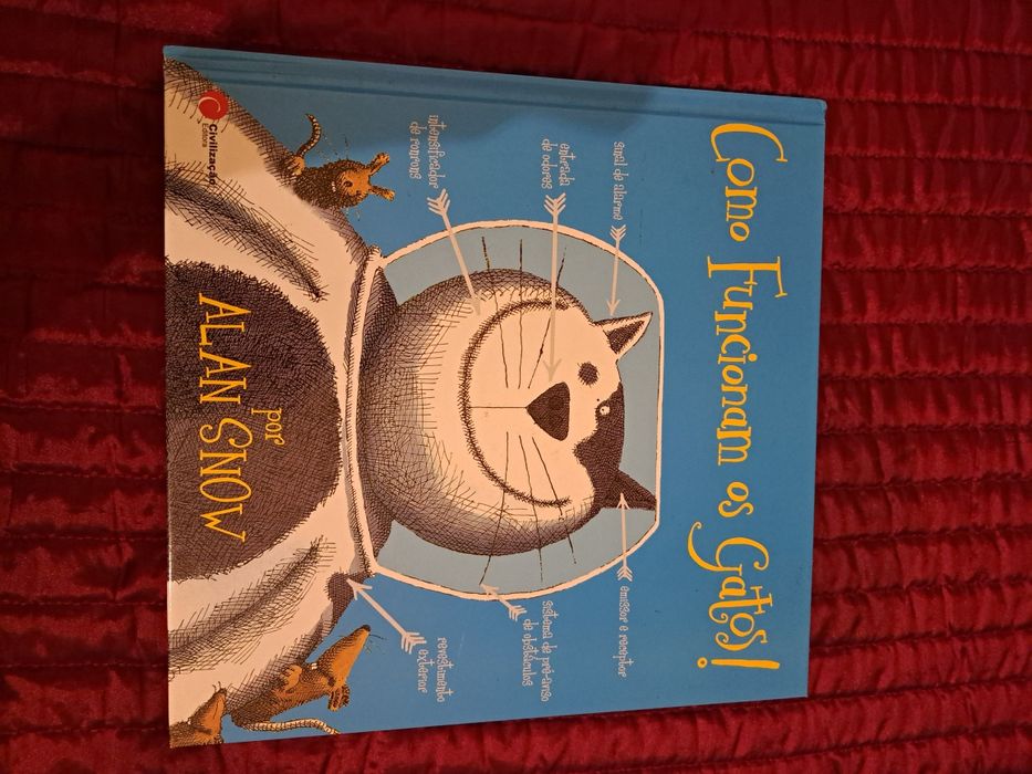 Livro infantil - Como Funcionam os Gatos!