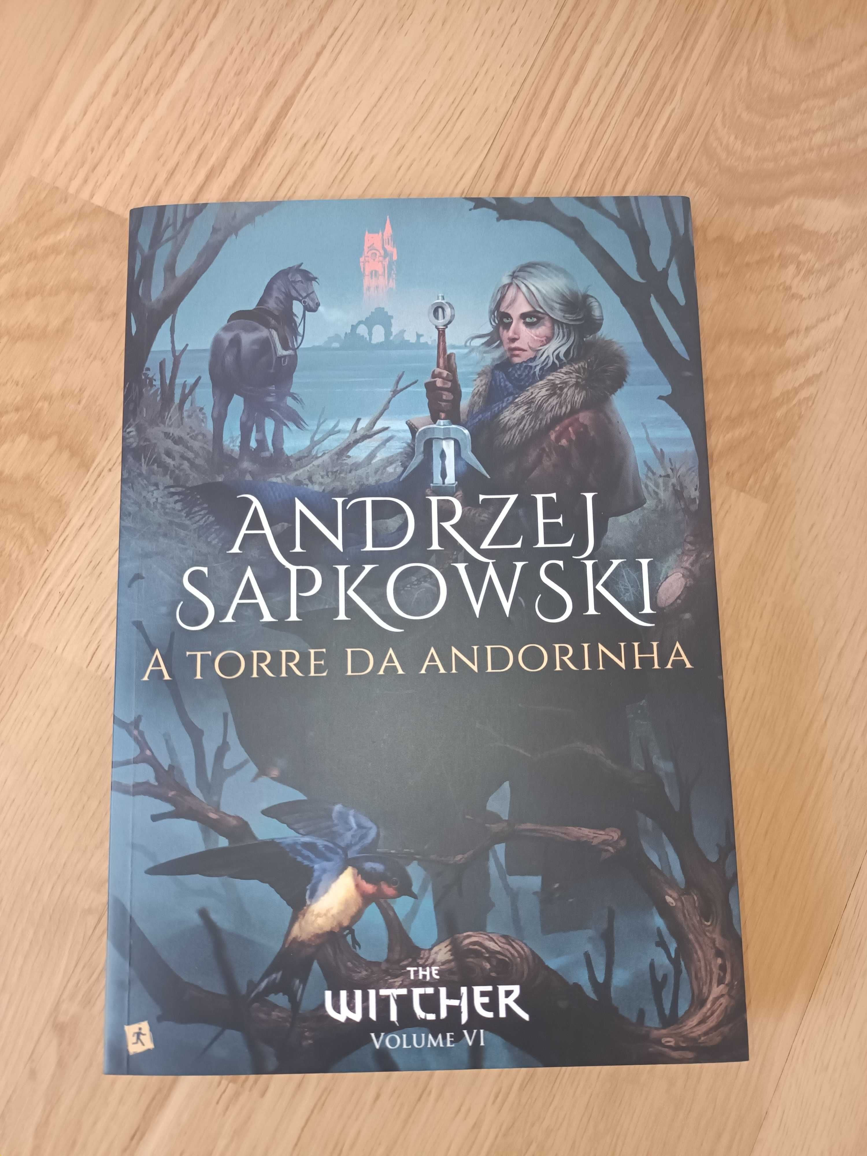 The Witcher Livro 6 — A Torre da Andorinha