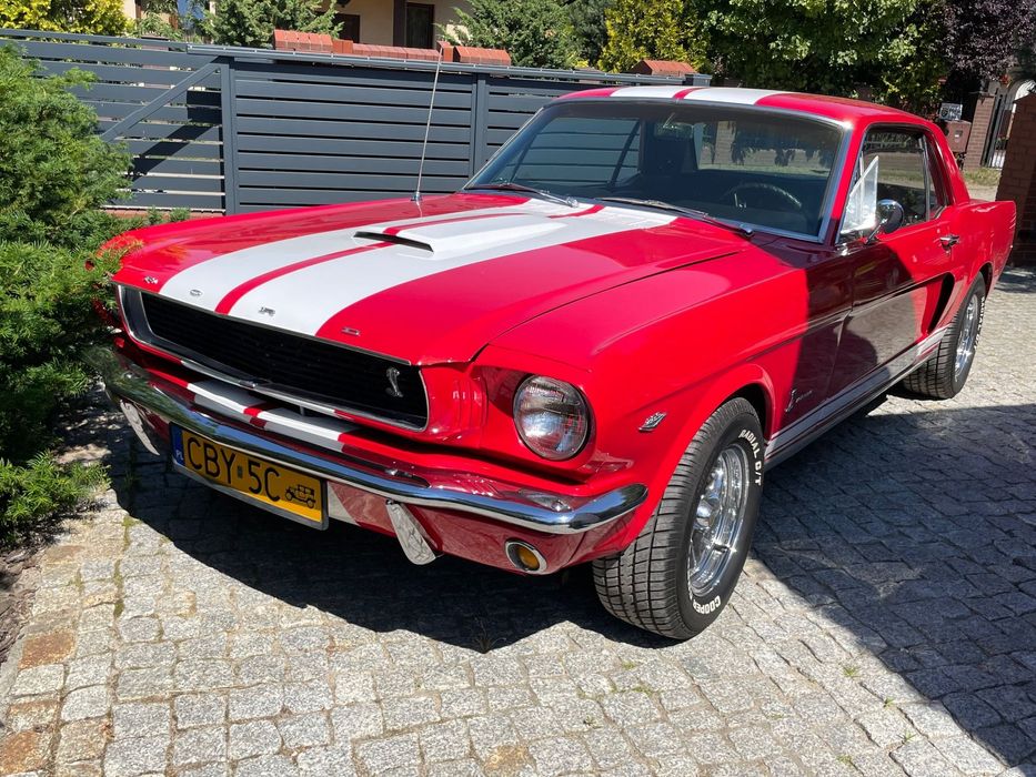 Ford Mustang Ford Mustang V8 1966