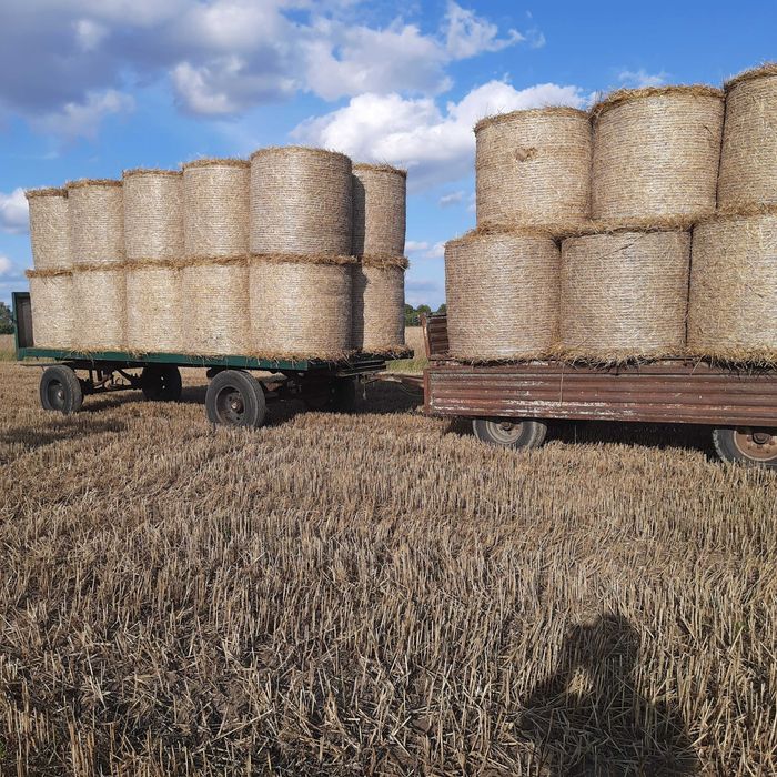 Sprzedam słomę w belach