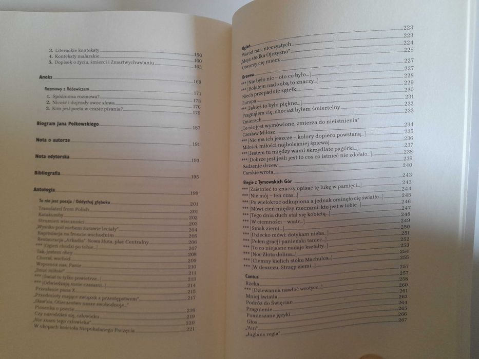 Nowy Napis Na ziemi i w niebie - Józef Maria Ruszar