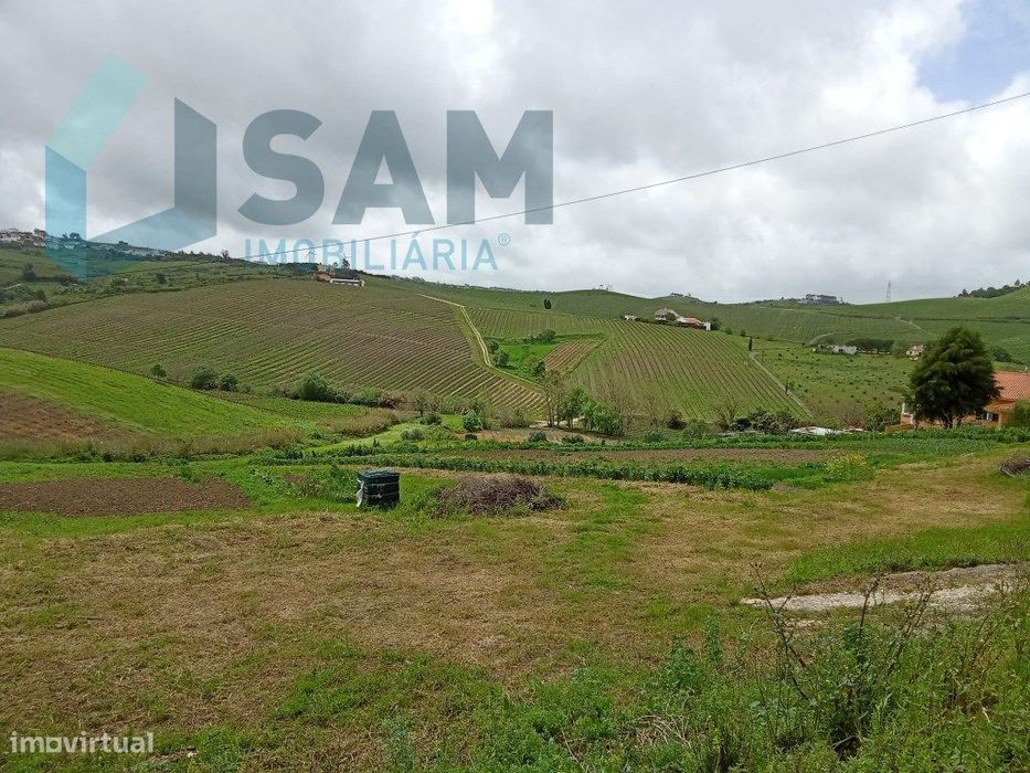 Terreno para construção — Ribafria E Pereiro De Palhacana, Lisboa