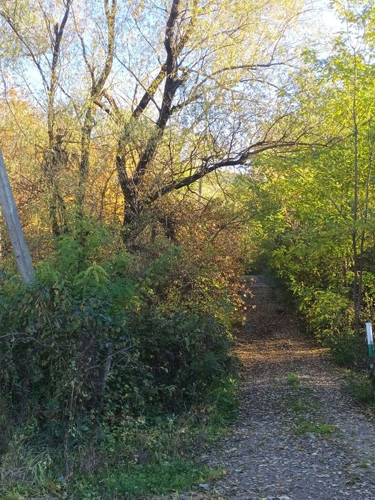 Земельна ділянка в Лісі в районні комплекса The Selo Коростувата