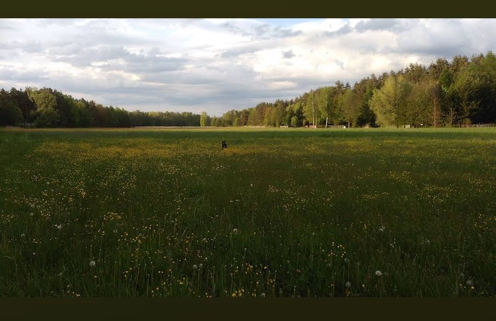Sprzedam działkę nad zalewem Siamoszyce/Przyłubsko