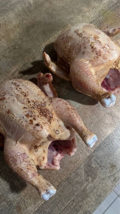 Домашні тушки кролів, курей, курчат