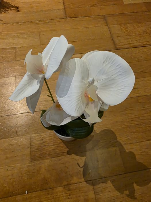 Sztuczny storczyk w doniczce