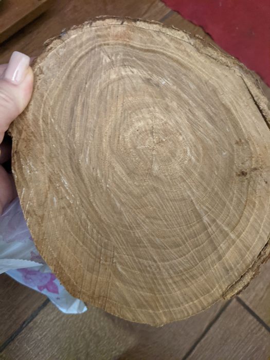 Продам деревянные  спилы акации.