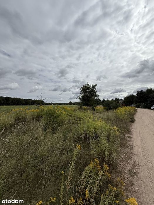 Działka budowlana 1281 m² z pozwoleniem na budowę w spokojnej okolicy