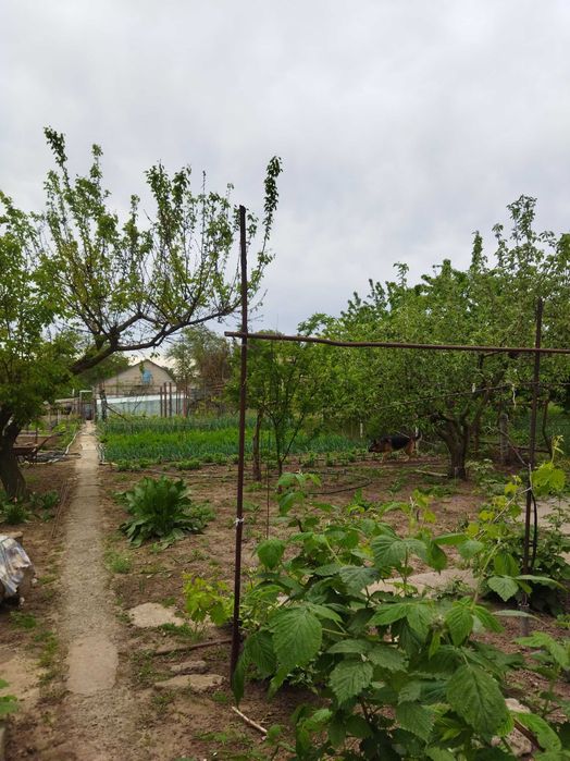 Будинок в м. Миколаєві (Корабельний район)