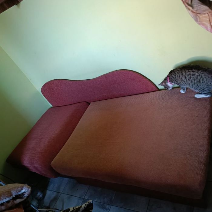 Oddam za darmo tapczanik