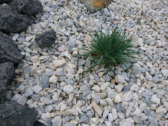 Ozdobny srebrny grys ogrodowy 8-16mm kamienie ogrodowe