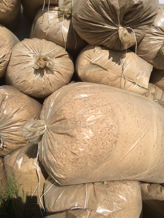 Wióry dębowe suche