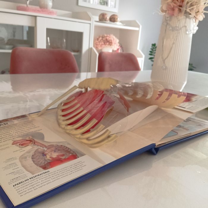 Estou vivo, livro pop-up