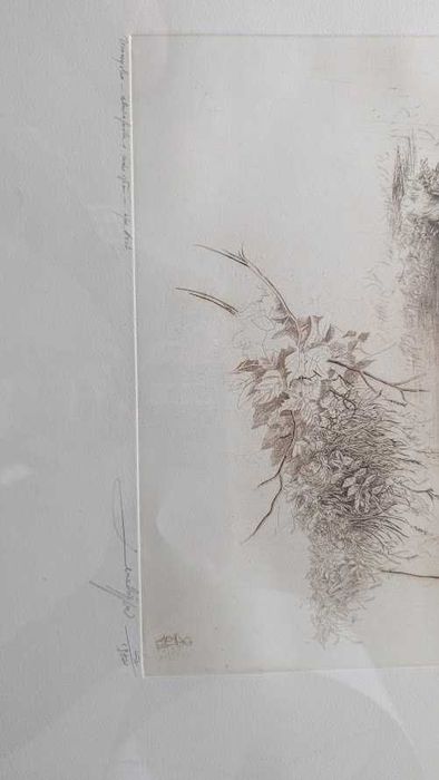 Leszek Rózga - akwaforta Uroczysko