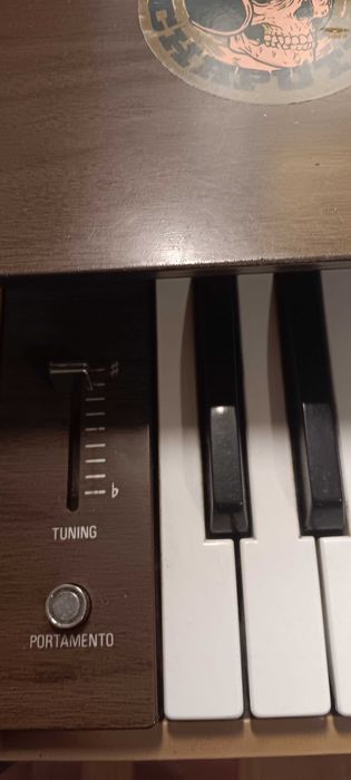 Órgão Tiger rock n roll