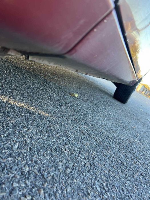 Продам Заз Sens (Lanos)