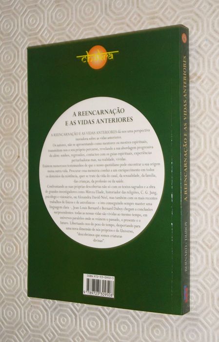 A Reencarnação e as vidas anteriores; universos paralelos