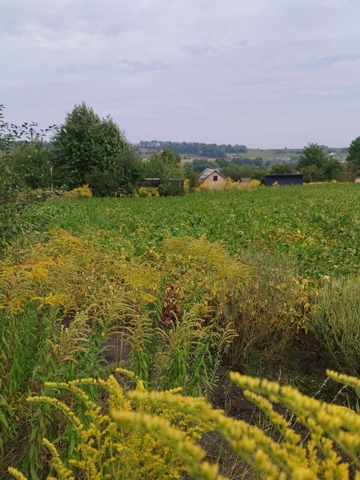 Земельну ділянку 11 2 сотки