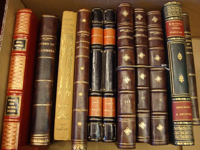 Livro - Júlio Resende