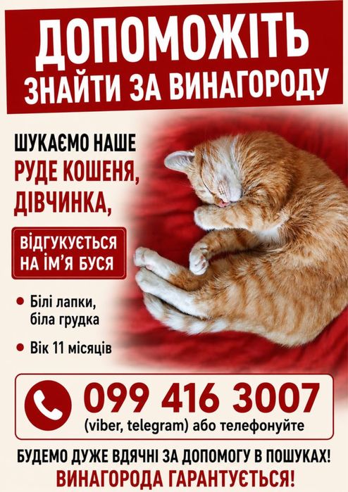 Допоможіть знайти за винагороду
