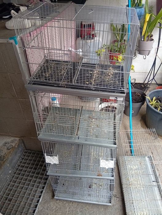 Vendo gaiolas de criação galvanizadas