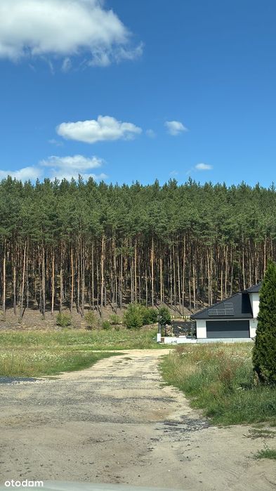 Działka przy lesie 1288 m² • Przytok • Nowa droga 2027 - Widok 4