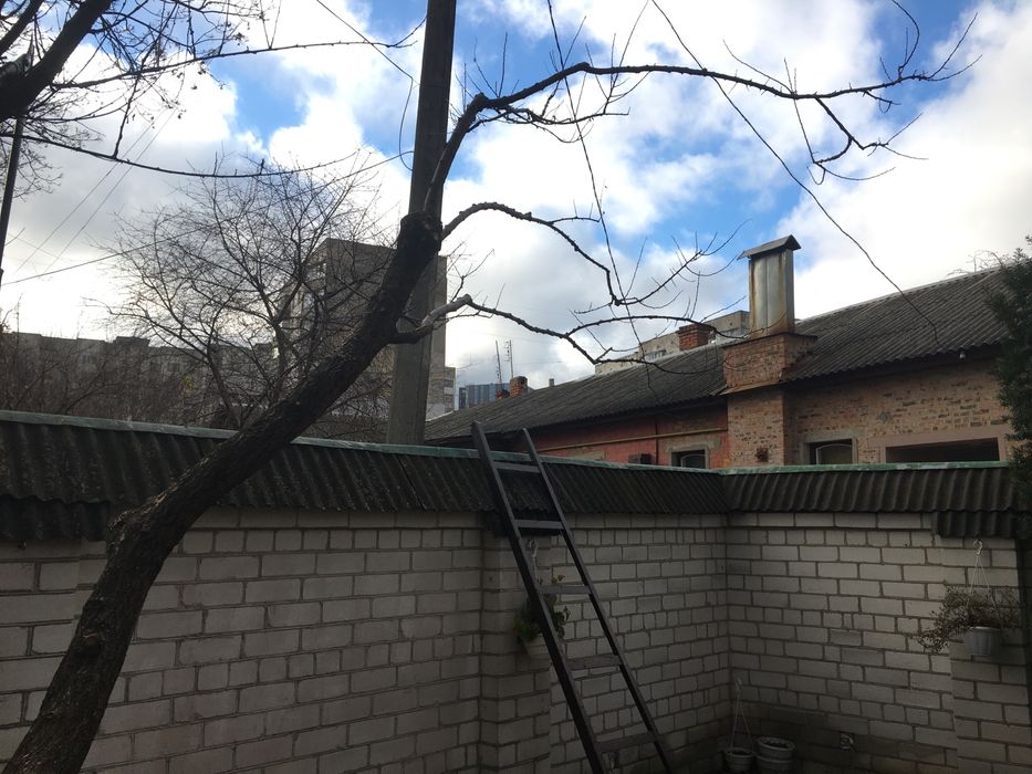 Обрізка дерев, плодових та ягідних насаджень - Чернігів і область