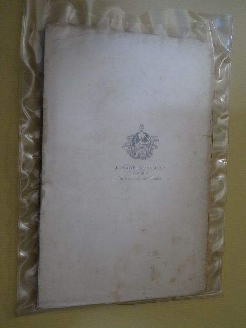 O Grande Amor de Marcelino Mesquita