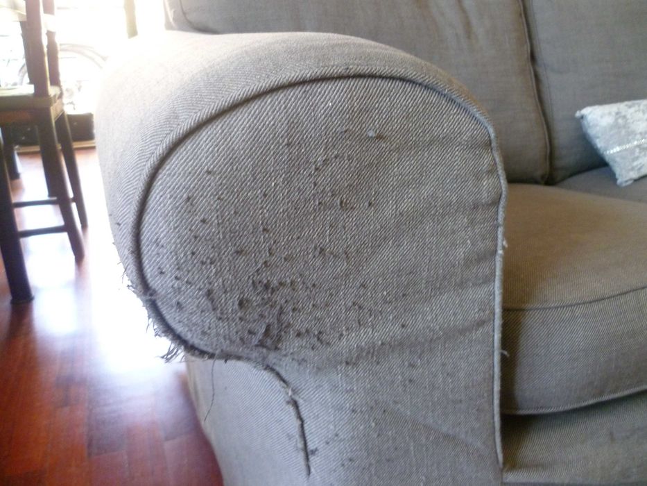 Sofa Ikea Ektorp 3 lugares
