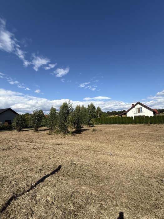 Czyszczenie Działek•Karczowanie•Koszenie•Mulczowanie• Legnica• Lubin