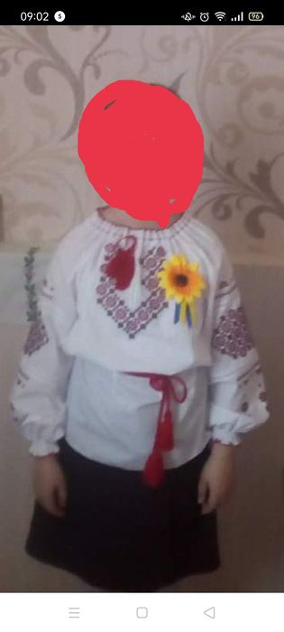 Вишиванка і спідничка