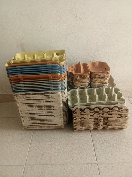 Caixas de Ovos em cartão