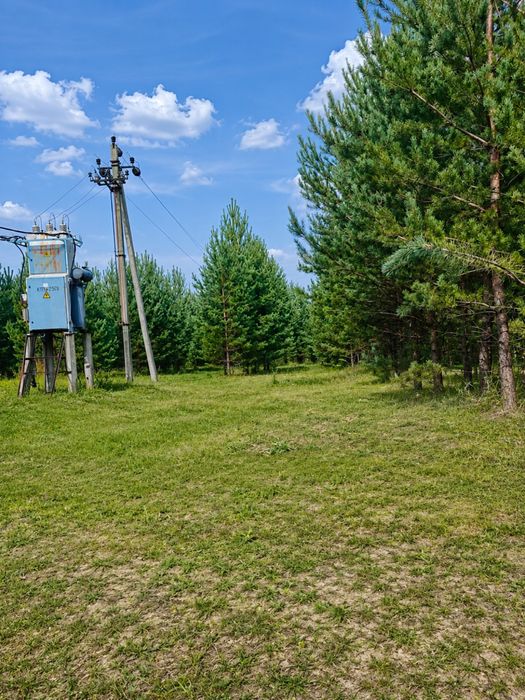 ‼️ Ділянка 10 соток ‼️ Власний ліс