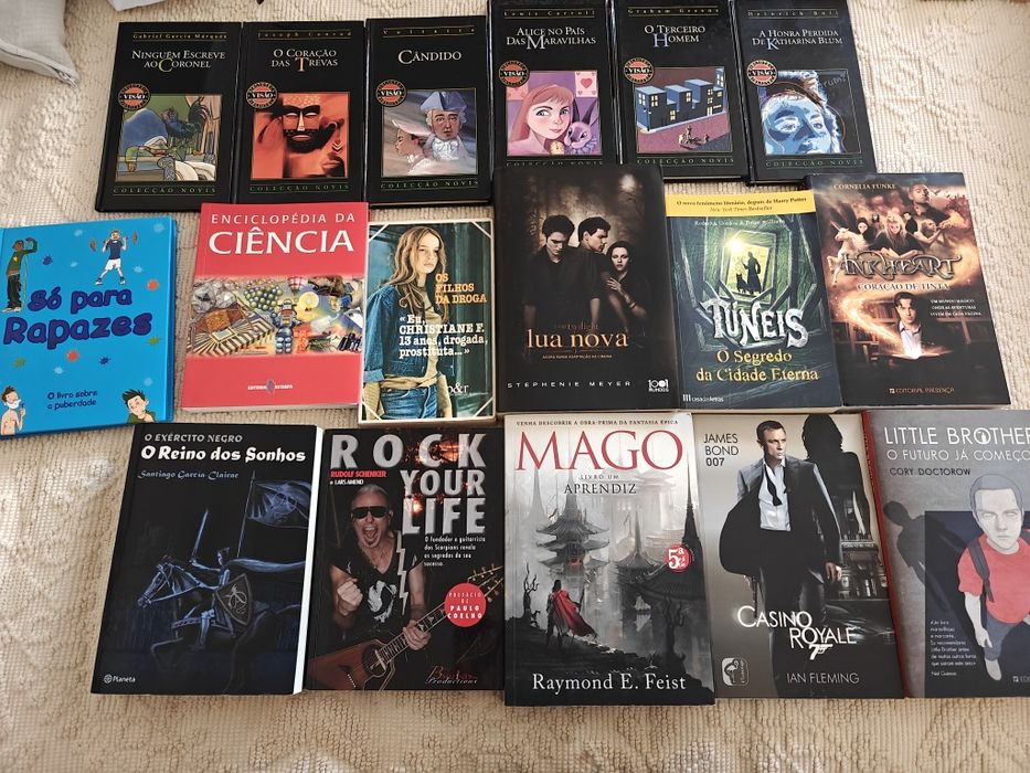 Livros diversos (inclui juvenis)