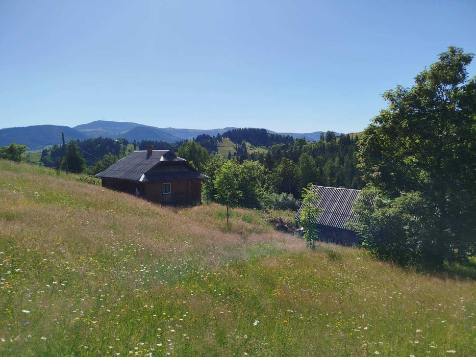 Будиночок в Карпатах, урочище Полянки з великою земельною ділянкою