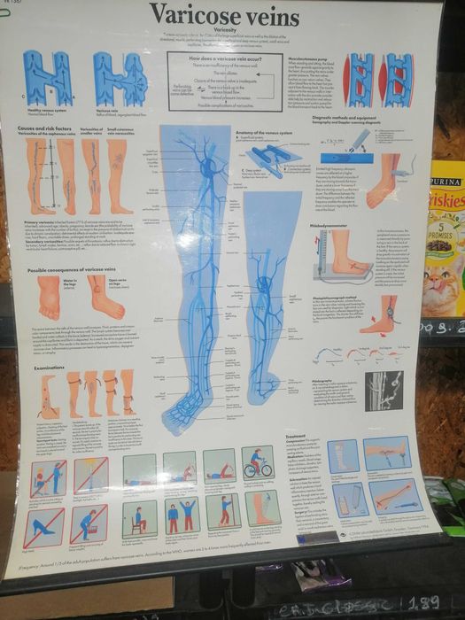Mapa do corpo humano
