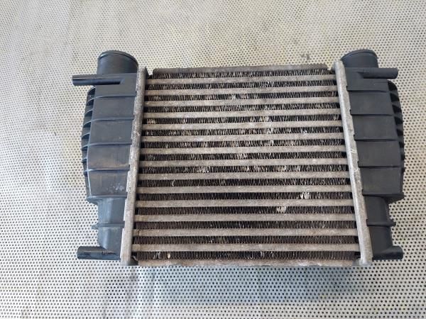 Radiador do intercooler RENAULT Clio III (BR0/1, CR0/1)