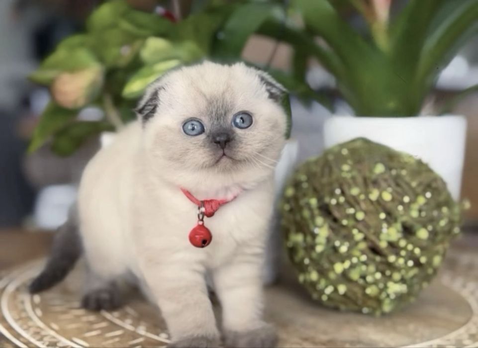 Не можливо  не закохатися