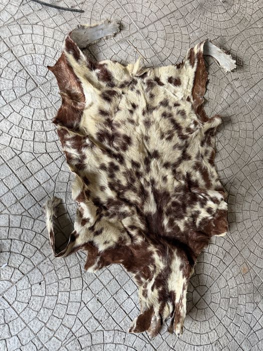 Tabete pede de animal