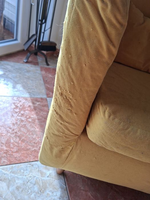 Sofá Individual Amarelo