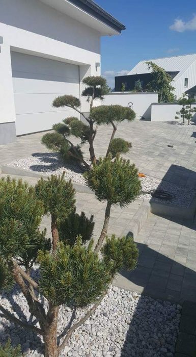 Usługi brukarskie Szczecin i okolice