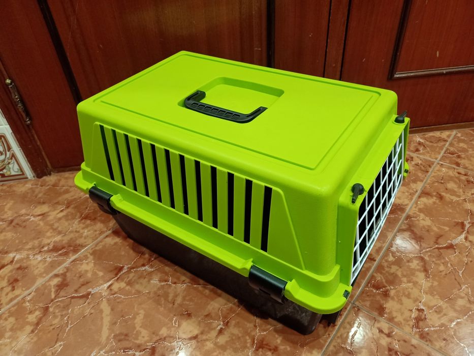 Transportadora animais de estimação carro casa quarto apartamento.