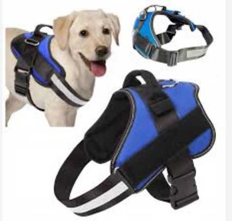 Szelki dla psa Activ Pet 35-40 cm niebieskie